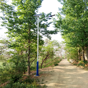 <b>2019.4鄧州市美麗鄉村張村太</b>