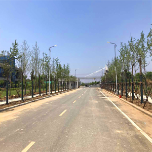 <b>2019.4鄧州市港粵工業園2期亮</b>